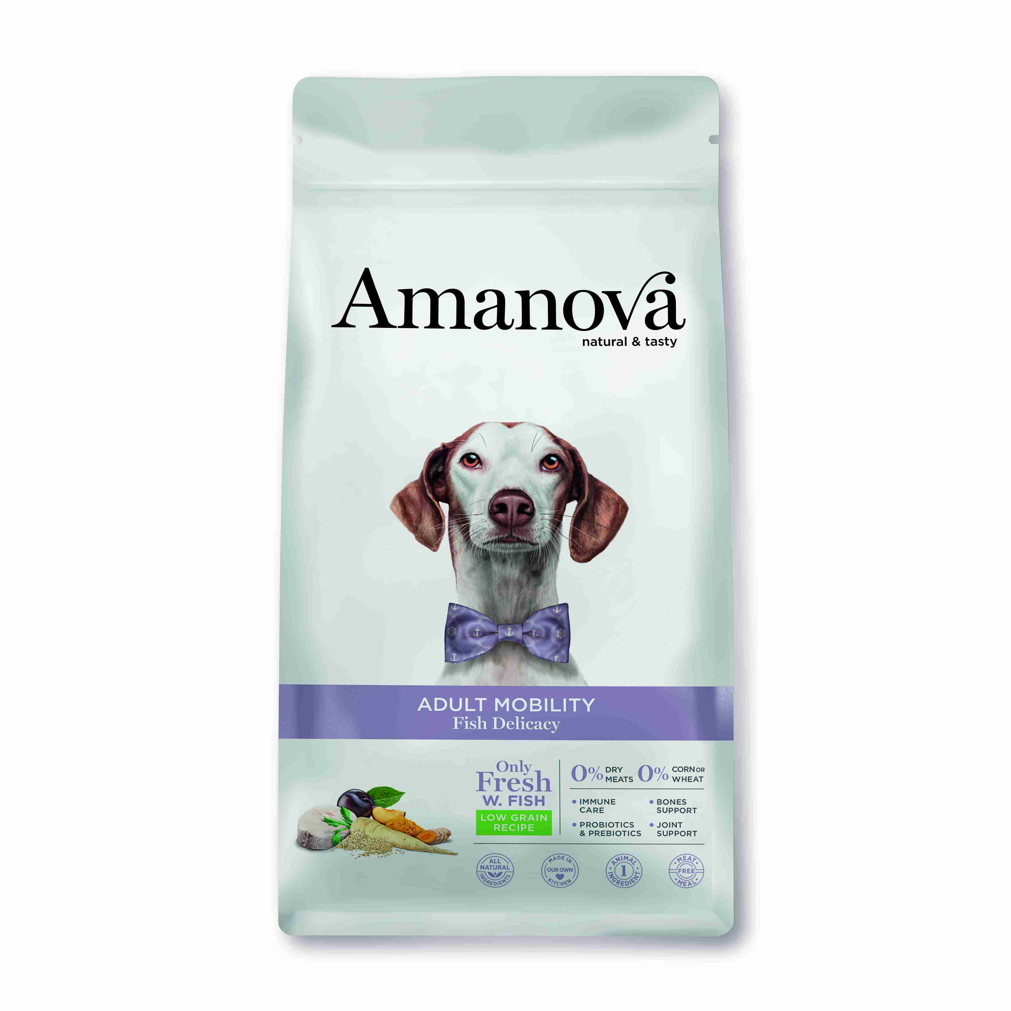 Best Pet Groomer